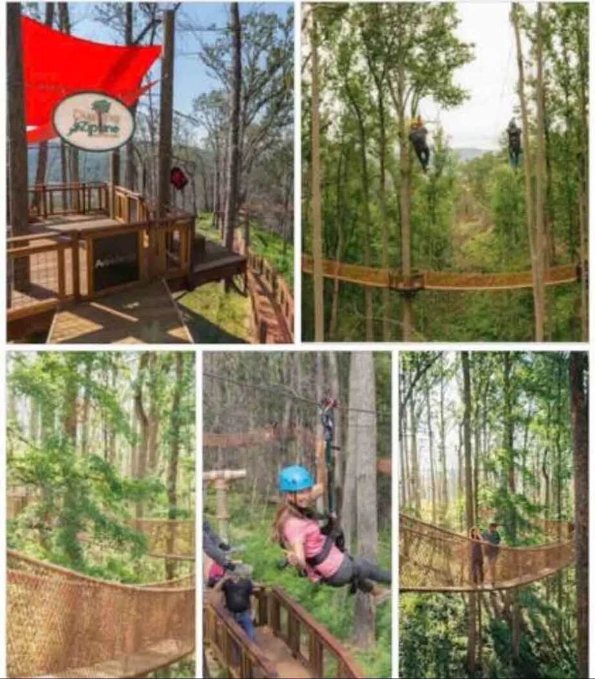 The scene shows participants in bright safety gear traversing canopy walkways and zip lines high above the forest floor, with observation decks providing views out over lush green treetops. There's a palpable sense of excitement and playful adventure.